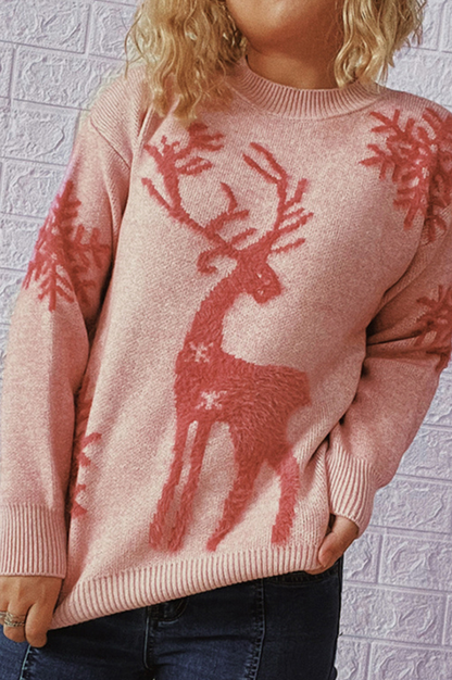 Reindeer and Snowflake Pattern Sweater